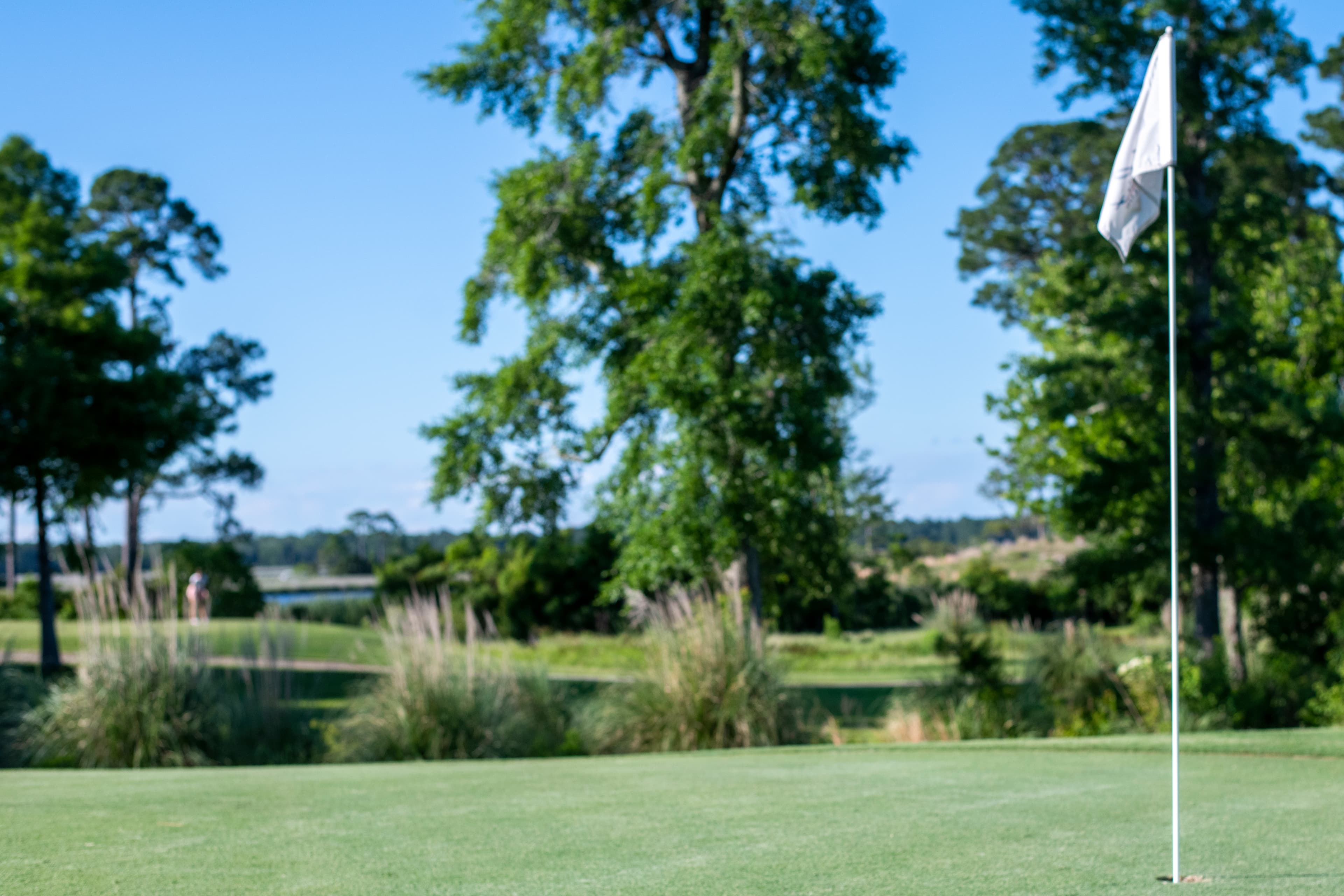 Sunkist Country Club - Image 1