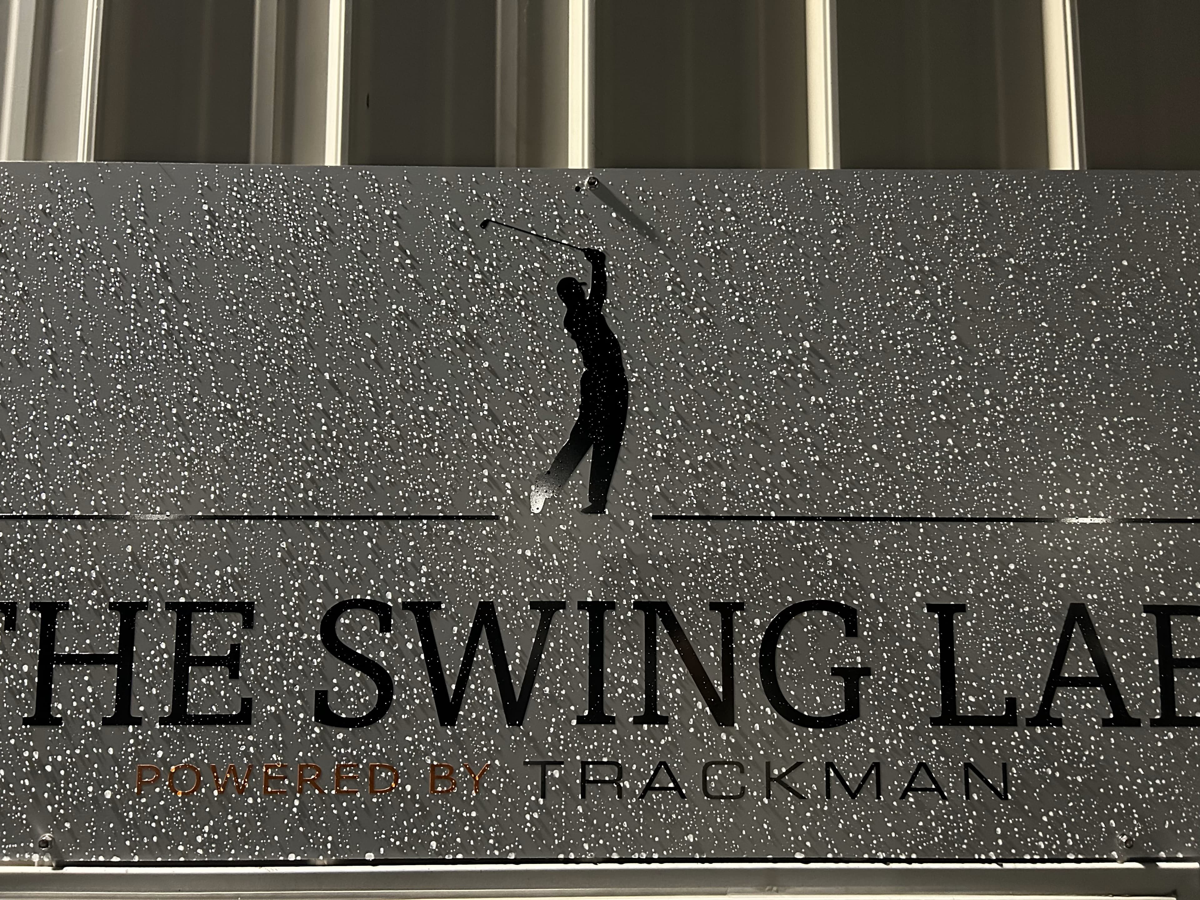 The Swing Lab - Image 5
